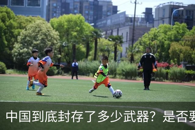 中国到底封存了多少武器？是否要靠一场战争去证明自己呢？