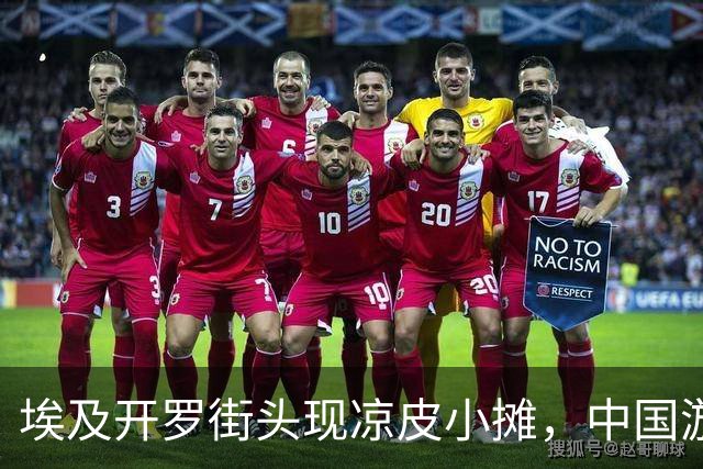 埃及开罗街头现凉皮小摊，中国游客称一碗16元，能品尝地道西北味，老板：刚开业不久，最多一天卖了70份