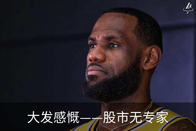 大发感慨——股市无专家