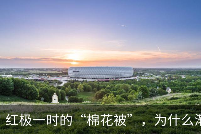 红极一时的“棉花被”，为什么渐渐跌下神坛？看完明白了