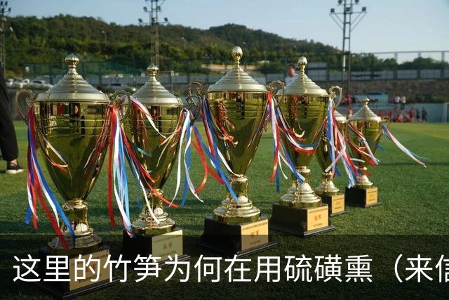 这里的竹笋为何在用硫磺熏（来信调查）