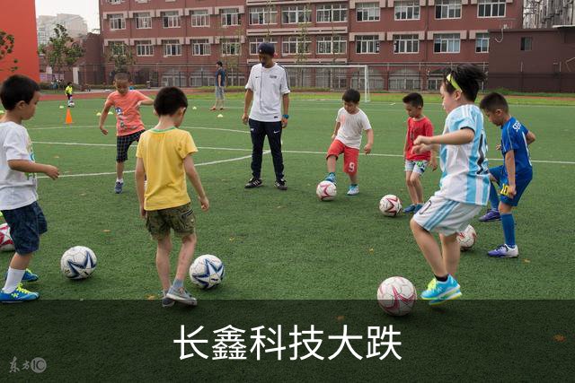 长鑫科技大跌