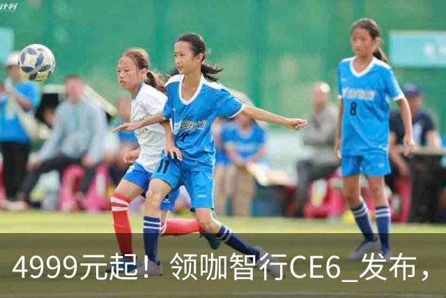 4999元起！领咖智行CE6 发布，新大洲本田旗下电摩